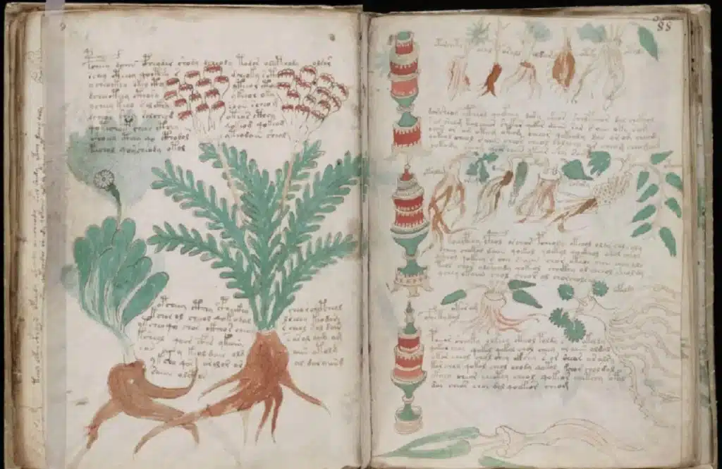 The Enigma Of The Voynich Manuscript